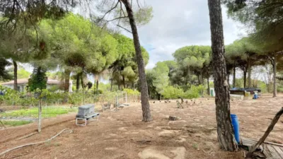 Rustic Finca in Andalucia photo 16
