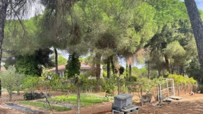 Rustic Finca in Andalucia photo 17