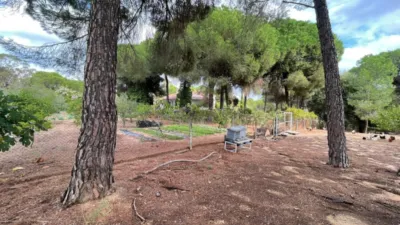 Rustic Finca in Andalucia photo 19