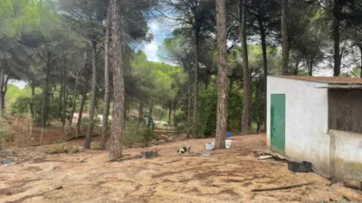 Rustic Finca in Andalucia photo 24