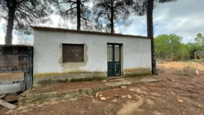 Rustic Finca in Andalucia photo 25