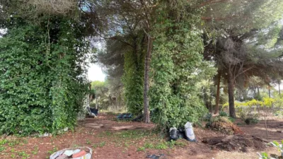 Rustic Finca in Andalucia photo 28