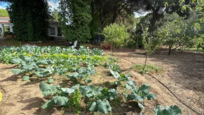 Rustic Finca in Andalucia photo 29