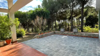 Rustic Finca in Andalucia photo 31
