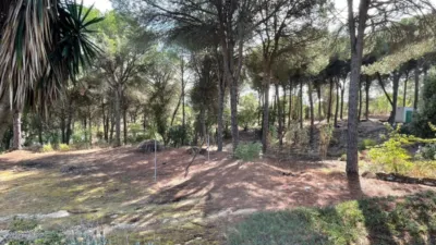 Rustic Finca in Andalucia photo 32