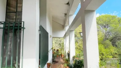Rustic Finca in Andalucia photo 35