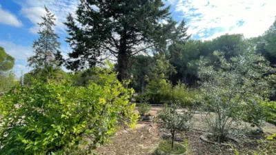 Rustic Finca in Andalucia photo 36