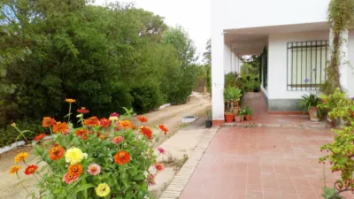 Rustic Finca in Andalucia photo 3