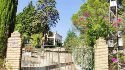 Rustic Finca in Andalucia photo 5