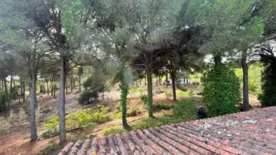 Rustic Finca in Andalucia photo 63