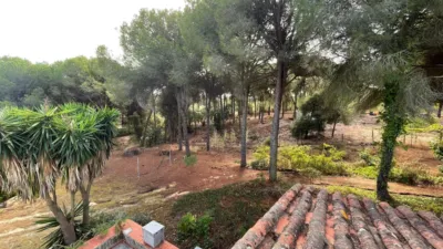 Rustic Finca in Andalucia photo 64