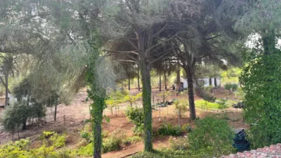 Rustic Finca in Andalucia photo 65