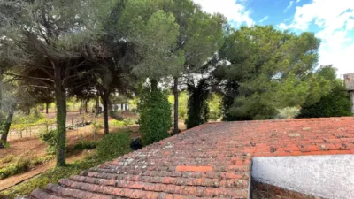 Rustic Finca in Andalucia photo 66