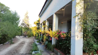 Rustic Finca in Andalucia photo 7