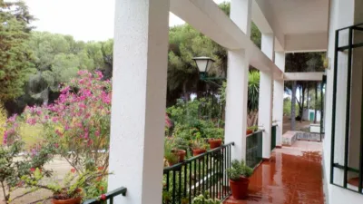 Rustic Finca in Andalucia photo 8