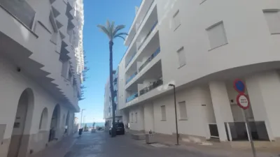 Pis – Elx / Elche, la Barrera, Urbanització Les Atzavares - Vista 2
