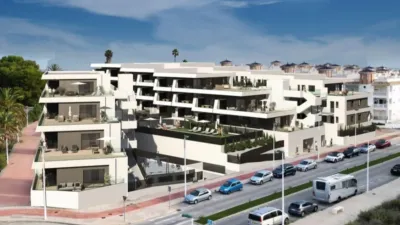 Apartment in El Pinet photo 2