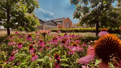 Piso en alquiler en Carrer de Viladomat, cerca de Gran Via de les Corts Catalanes - Imagen 25
