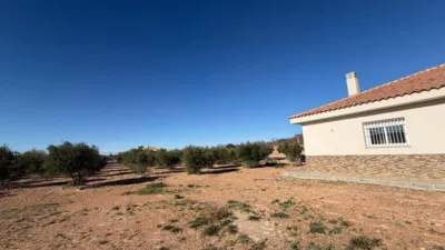 House in La Cañada photo 24