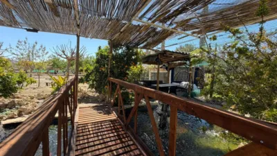 Chalet en Comunidad Valenciana photo 46
