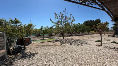 Chalet en Comunidad Valenciana photo 56