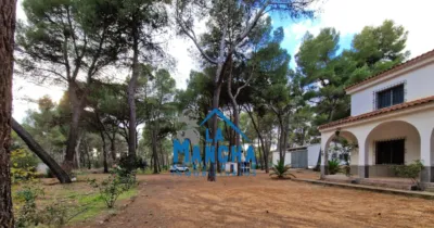 Casa en Urbanización Pinares del Júcar photo 22