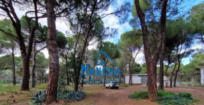 Casa en Urbanización Pinares del Júcar photo 32