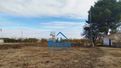 Terreno en venta en Calle Polígono 51 Parcela 130 La Dehesa. Albacete (Alba - Vista 4