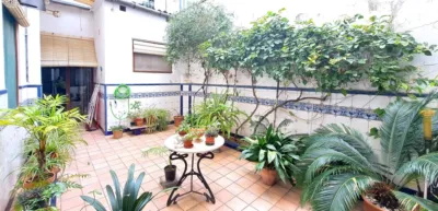 House on Passeig photo 12