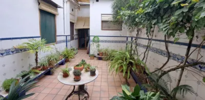 House on Passeig photo 4