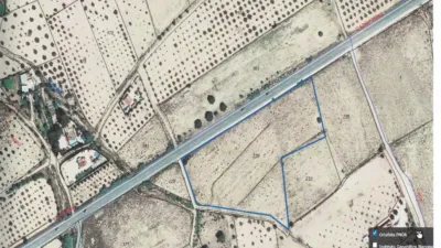 Terreno en venta en Carrtera de Cañada - Vista 5