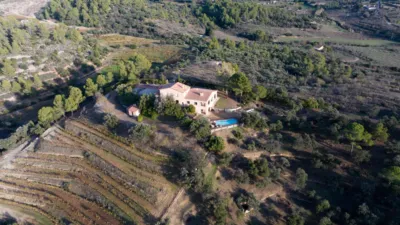 Rustic finca in Catalonia photo 14