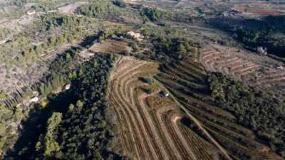 Rustic finca in Catalonia photo 2