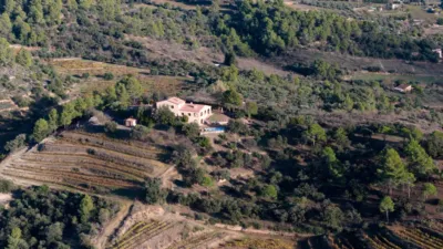 Rustic finca in Catalonia photo 3