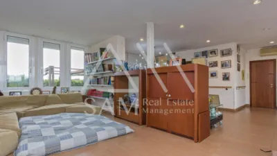 House in La Pineda Feu photo 20