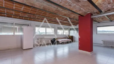 House in La Pineda Feu photo 52