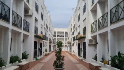 Apartment on Calle de la Bolsa, 181 photo 2