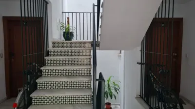 Apartment on Calle de la Bolsa, 181 photo 5