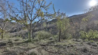 Rustic finca on Calle Dúrcal photo 35