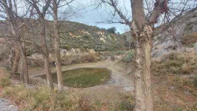 Rustic Finca in Laroles photo 10