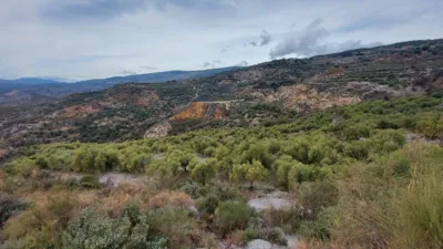 Rustic Finca in Laroles photo 18