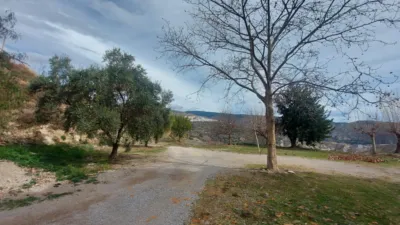 Rustic Finca in Laroles photo 50
