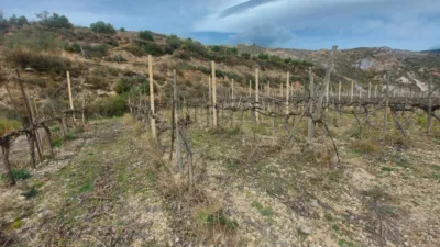 Rustic Finca in Laroles photo 54