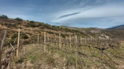 Rustic Finca in Laroles photo 55