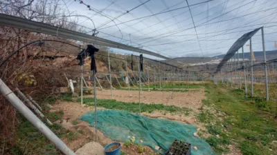 Rustic Finca in Laroles photo 59