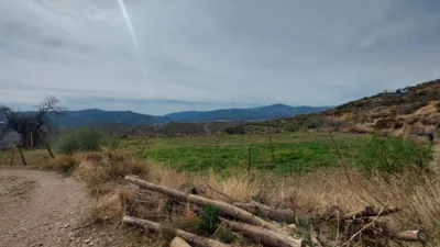 Rustic Finca in Laroles photo 69
