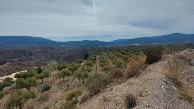 Rustic Finca in Laroles photo 7