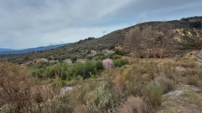 Rustic Finca in Laroles photo 9