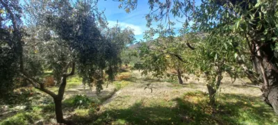 Rustic Finca in Narila photo 27