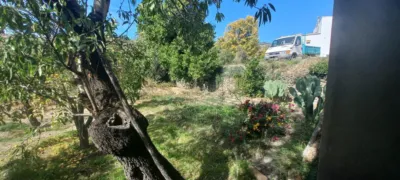 Rustic Finca in Narila photo 28